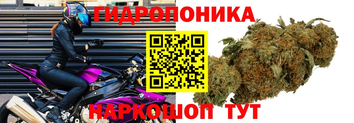 Бошки Шишки Amnesia Озёры